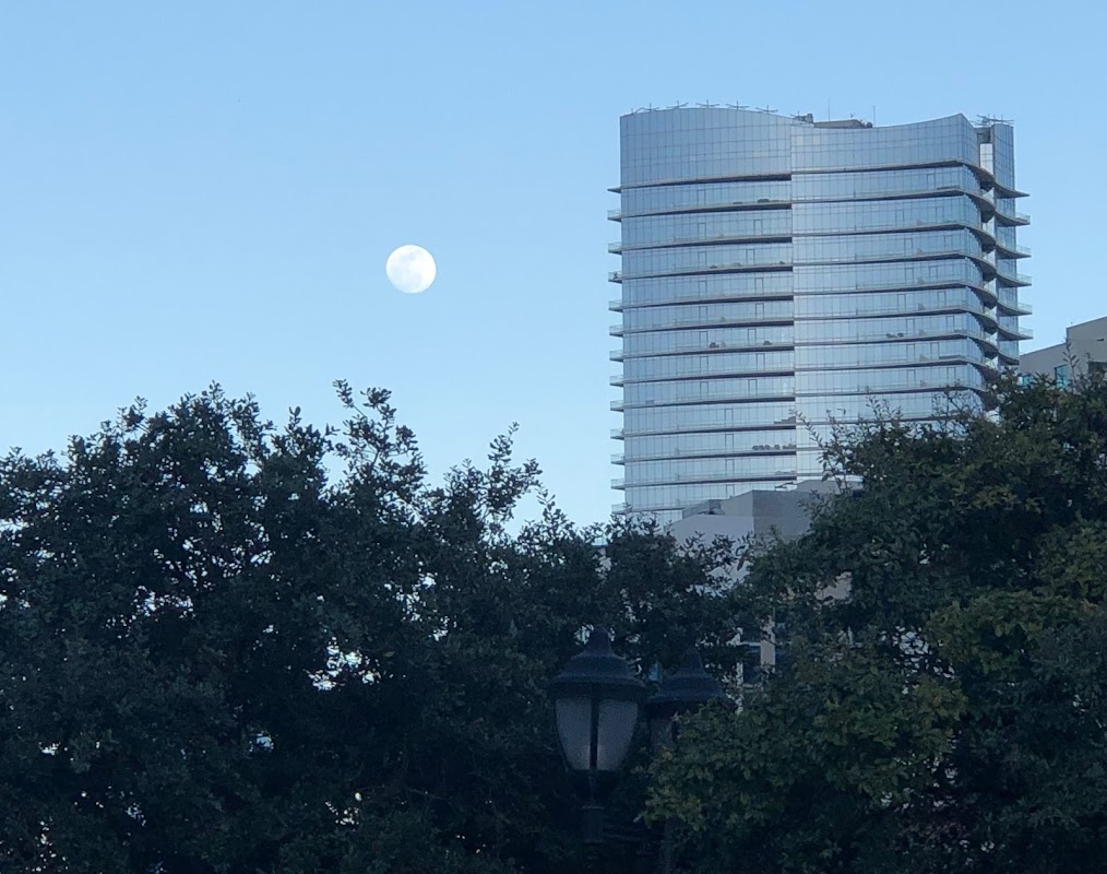 Photo de HQ CDMX Sofía-Torre
