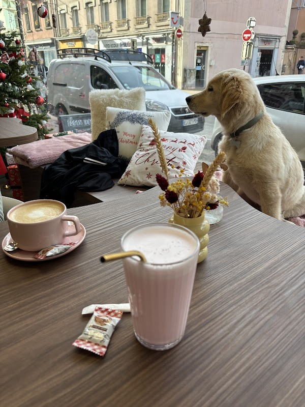 Photo de K-NIN Concept Store FR