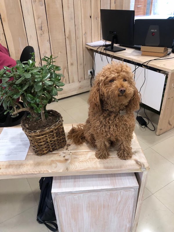 Photo de Coworking Ressolucio