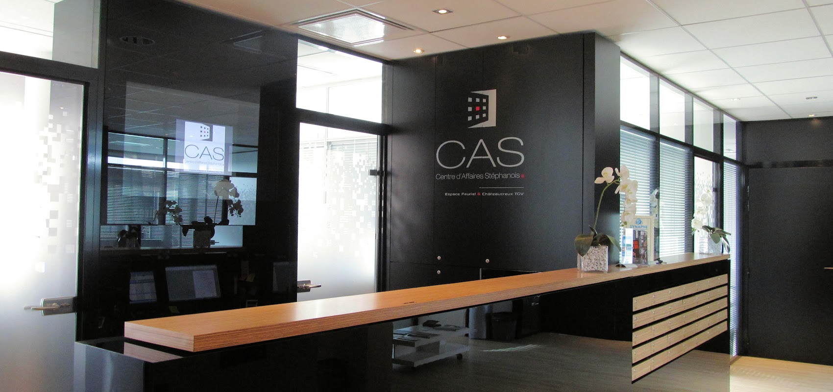 Photo de Centre d'Affaires Stéphanois Saint Étienne