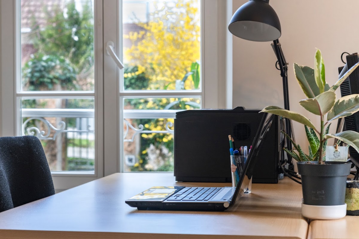 Photo de Nim's Le lieu