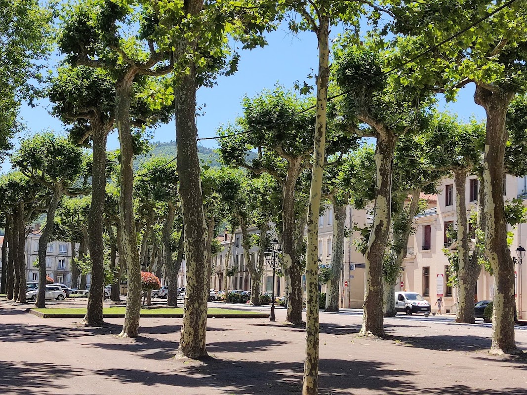 Photo de Le C@pitole