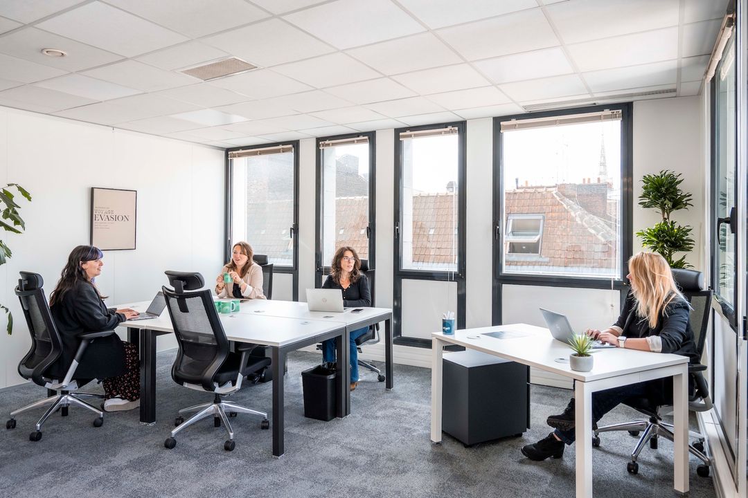 Photo de Mitwit Lille Flandres