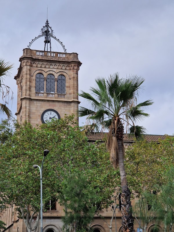 Photo de Spaces Gran Via 583