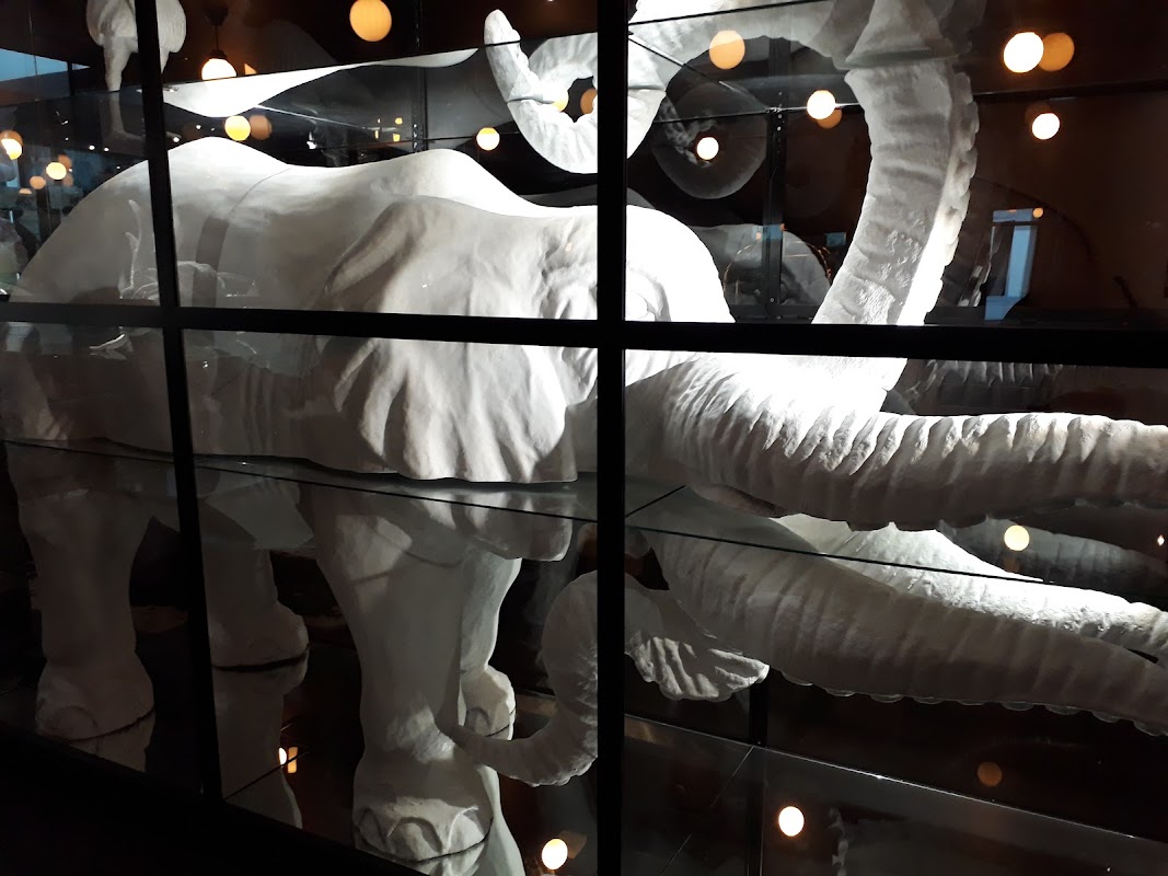 Photo de Kwerk Bienfaisance