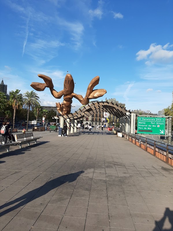 Photo de Spaces Barceloneta