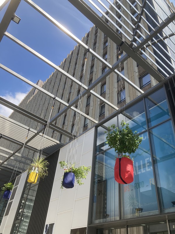 Photo de Regus Strasbourg Les Halles