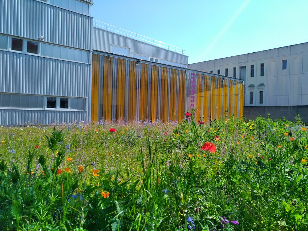 Intencity Choisy-le-Roi