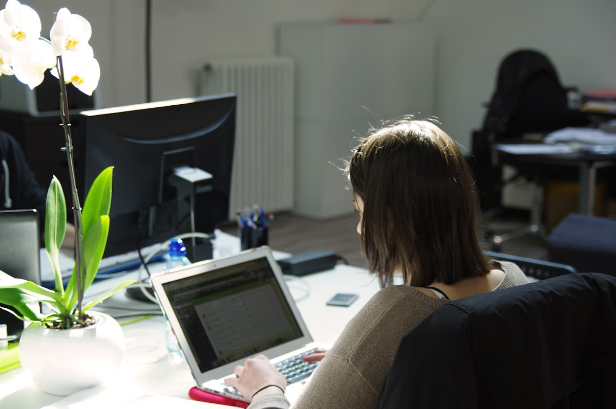 Photo de Atome Jungle