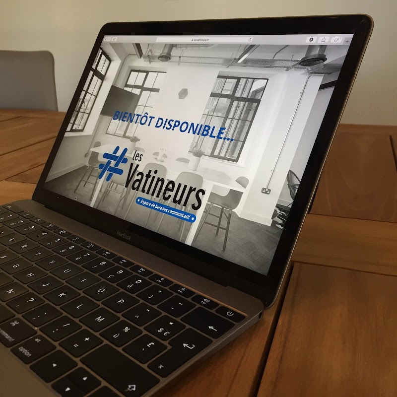 Photo de Les Vatineurs