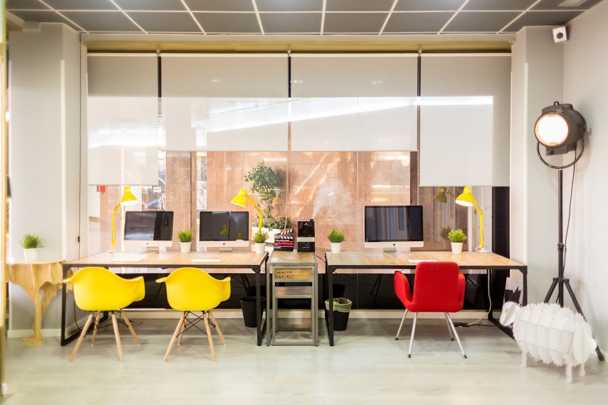 Photo de Animal Workers