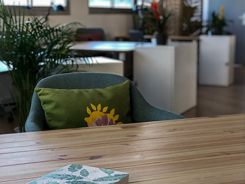 Photo de Jingle in the Jungle