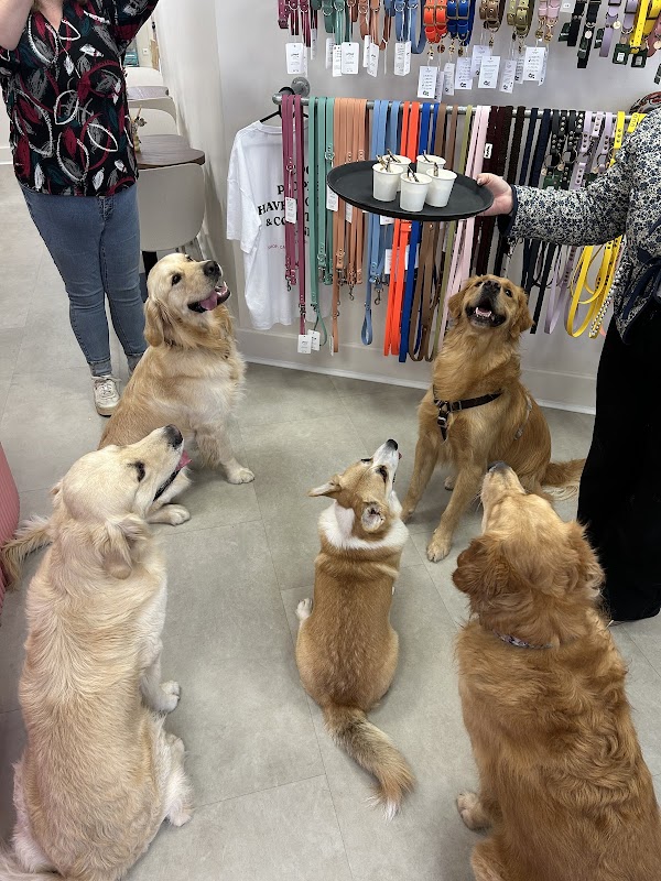 Photo de K-NIN Concept Store FR