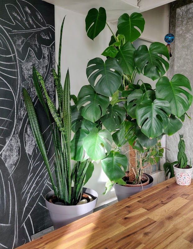 Photo de Cosyworking