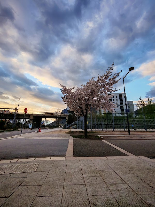 Photo de Walter Grenoble