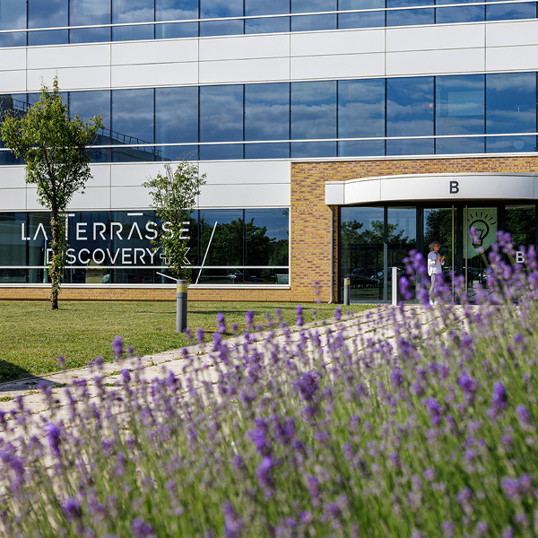 Photo de La Terrasse Discovery