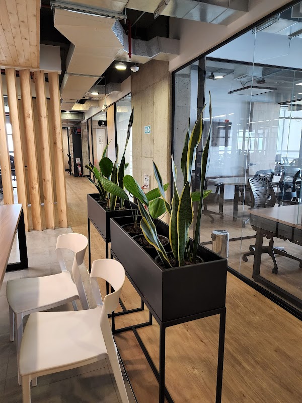 Photo de La 97 Co-Work-Latam