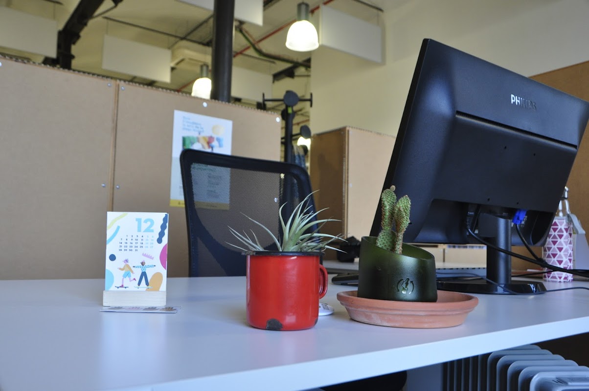 Photo de El Viversalt