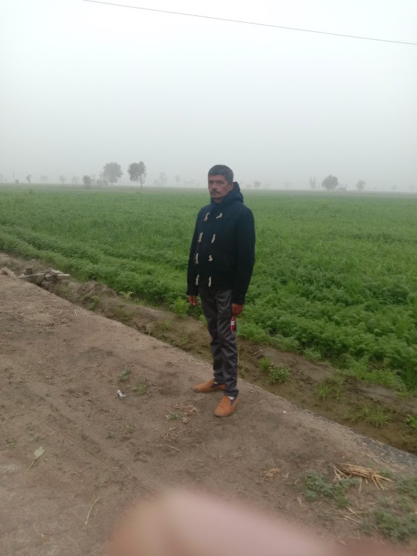 Photo de La Bérangerie