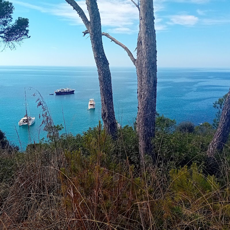 Photo de Menorca Millennials