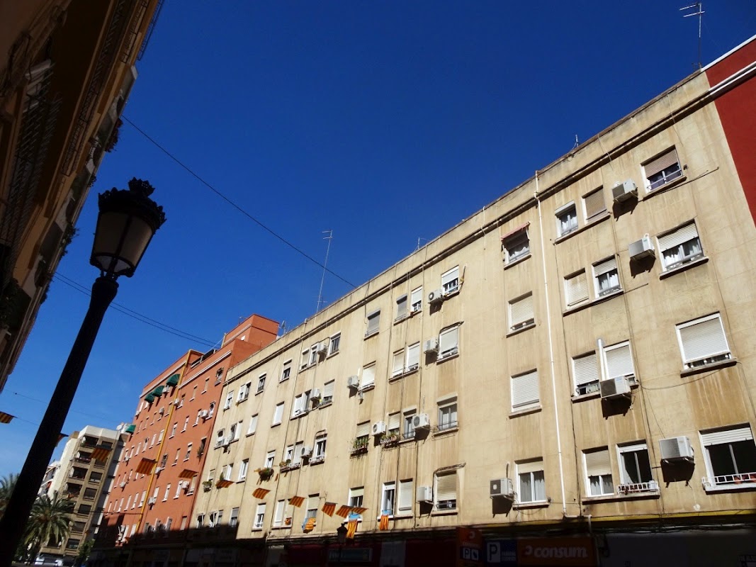 Photo de Planta Libre