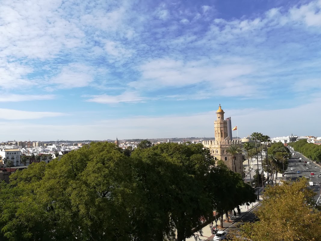 Photo de Inn Offices Torre Del Oro
