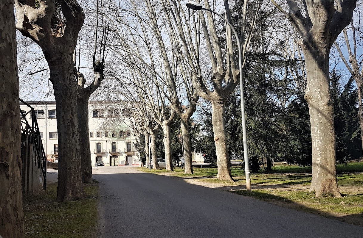 Photo de La Gelidense Coworking