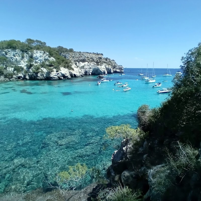 Photo de Menorca Millennials