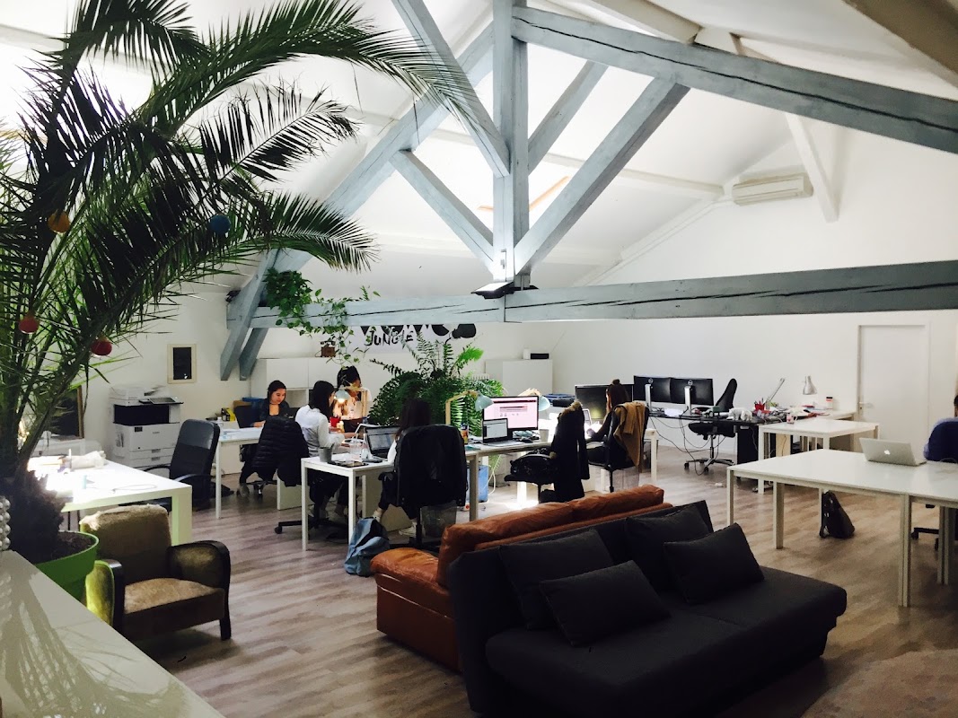 Photo de Atome Jungle