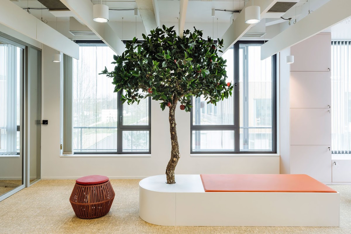 Photo de Newton Offices Haute Borne