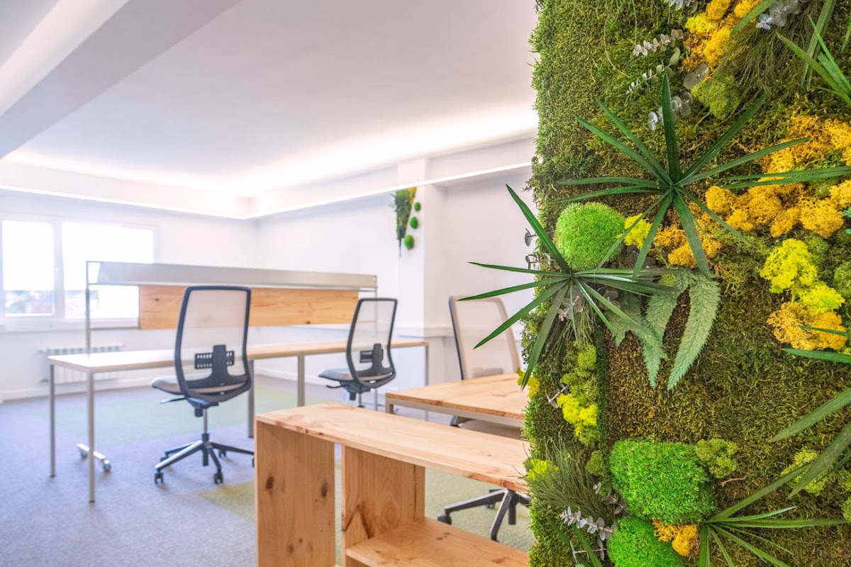 Photo de Camaleón De Rubik