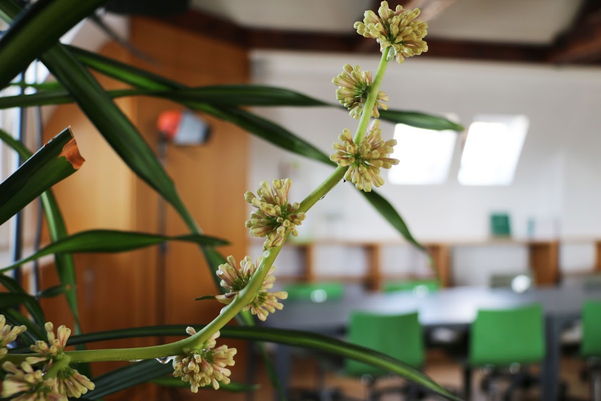 Photo de Le 100 La Fayette