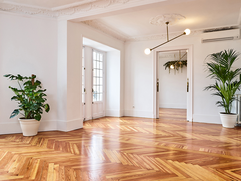 Photo de Espacio Dcollab