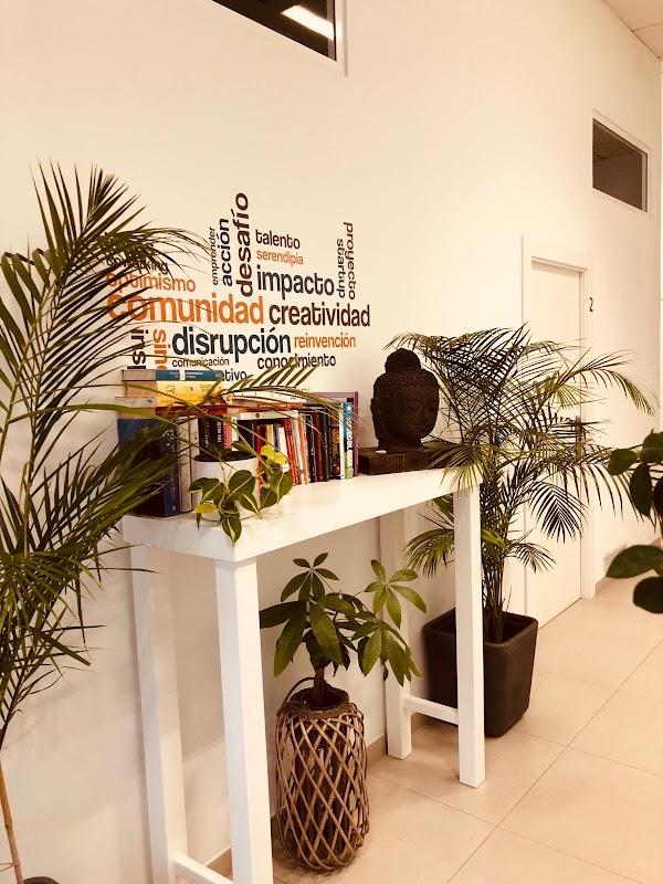 Photo de Coworking Plus