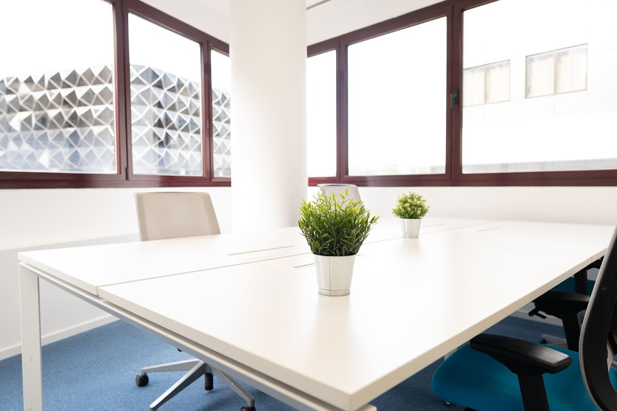 Photo de Mycoworking