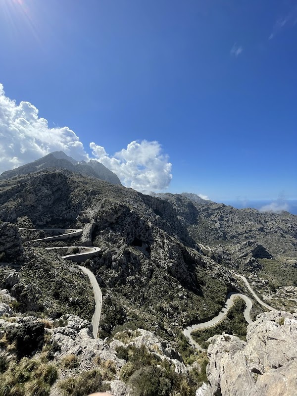 Photo de The Hub Mallorca