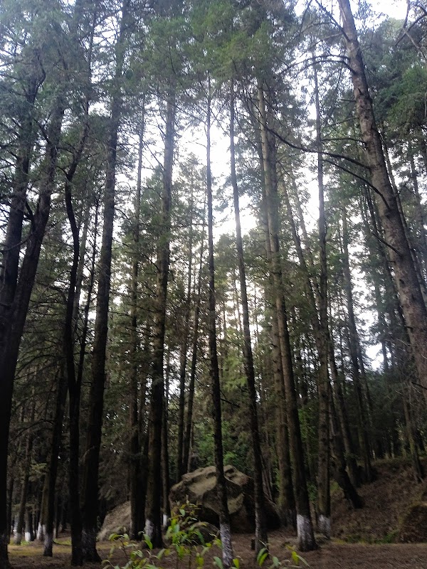 Photo de Spaces Antonio Dovali Jaime 70