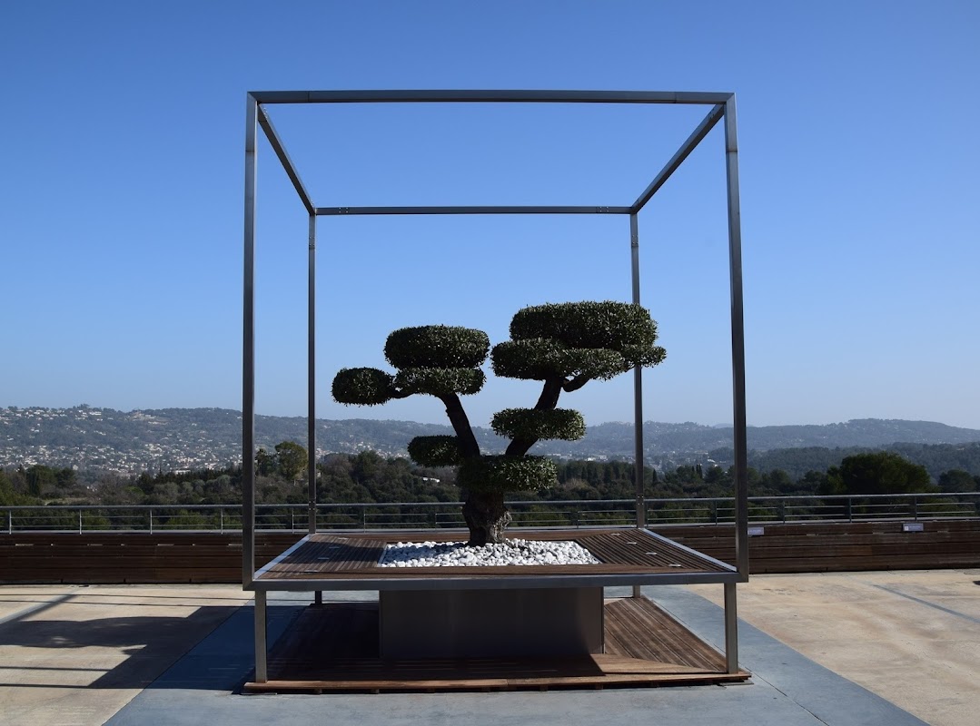 Photo de Le Cube Business