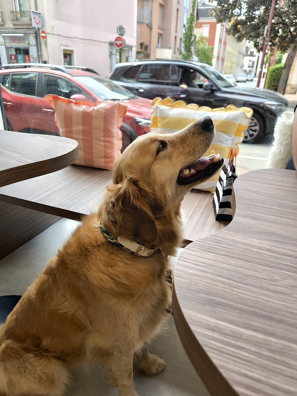 Photo de K-NIN Concept Store FR