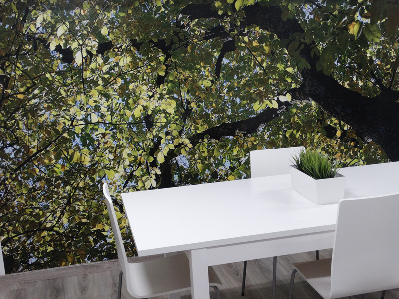 Photo de La Planta Coworking