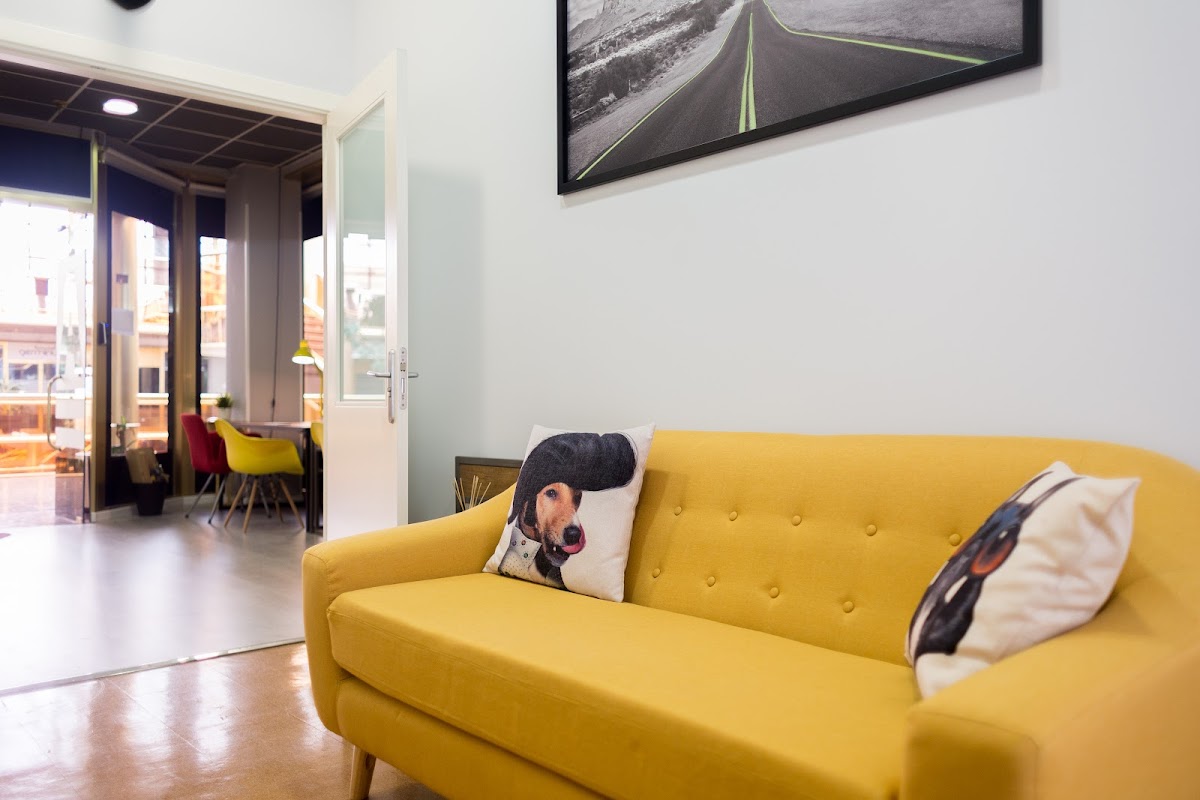 Photo de Animal Workers